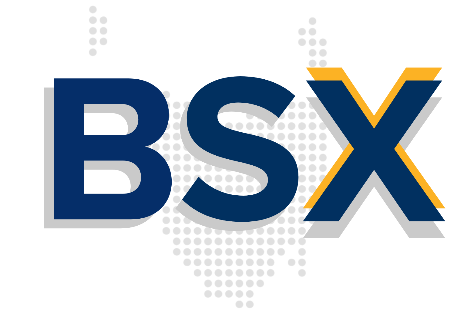 BSX Logo Dark Blue