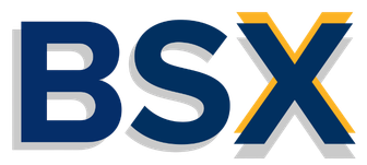 BSX Logo